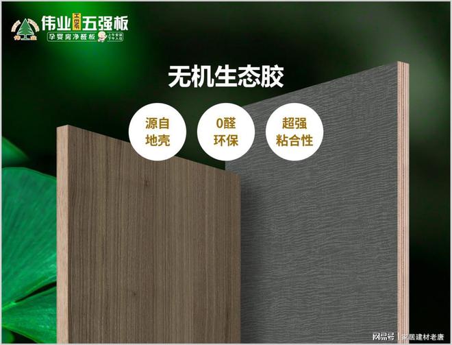 板材界的“胶皇”来了！伟业五强板凭无机科技卷翻行业(图2)