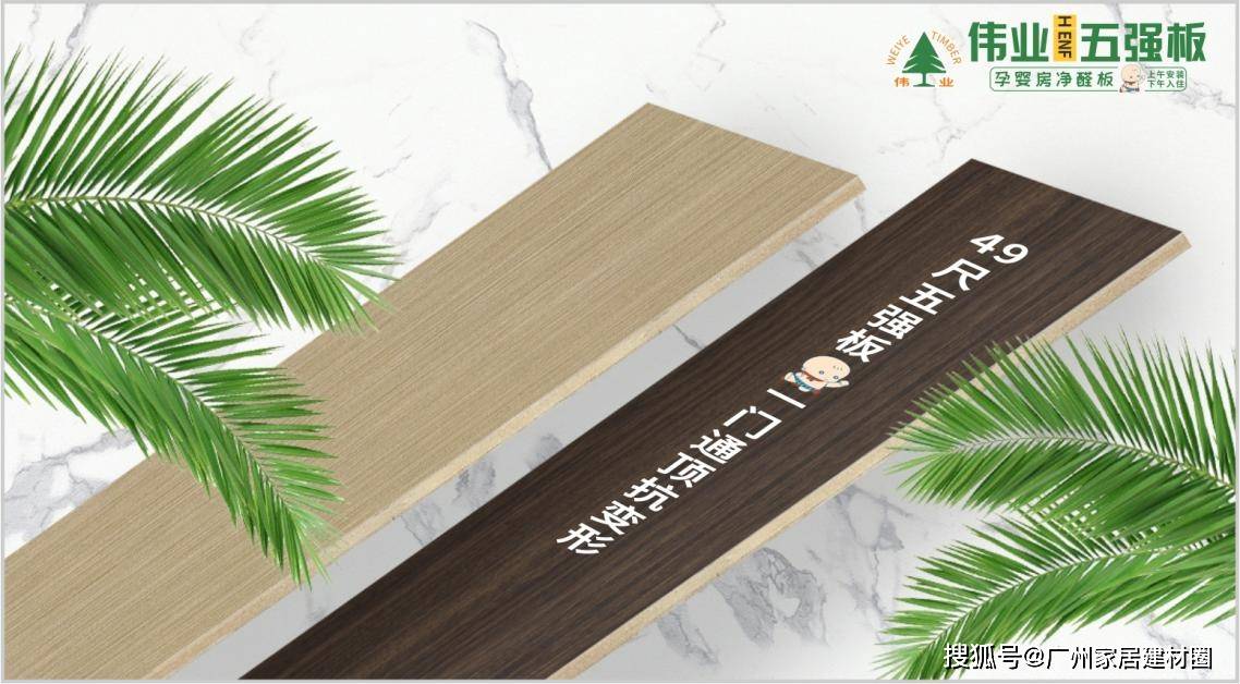 一胶改写行业！伟业五强板让家装隐患集体“退网”(图4)