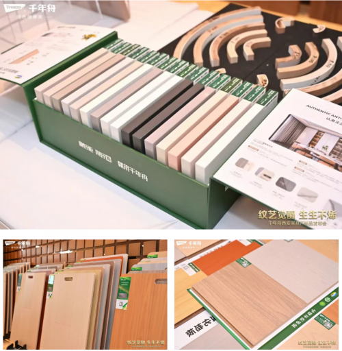 舟耀西安·生生不烯丨千年舟西安区域新品发布会暨2025答谢宴会盛大举办(图3)