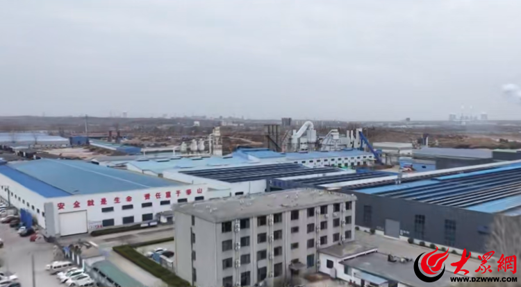 临港区：从“传统制造”到“生态布局”鹤洋木业谱写新时代的“绿色答卷”(图3)