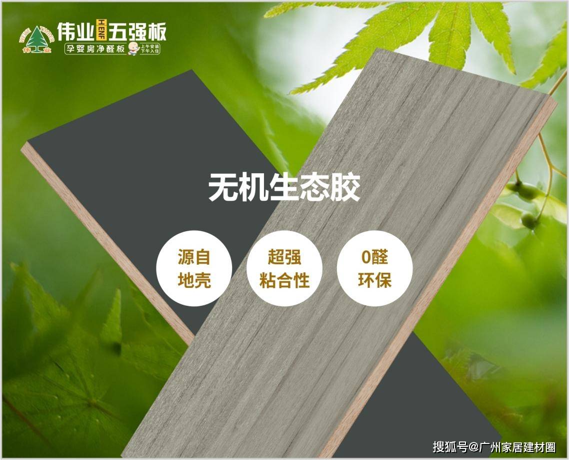 伟业五强板用无机胶重新定义板材耐用天花板(图2)