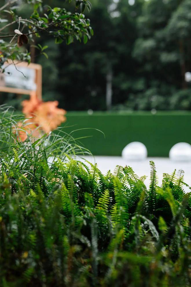 交付即热！月租跳涨至15万耀胜新世界价值藏不住了(图25)