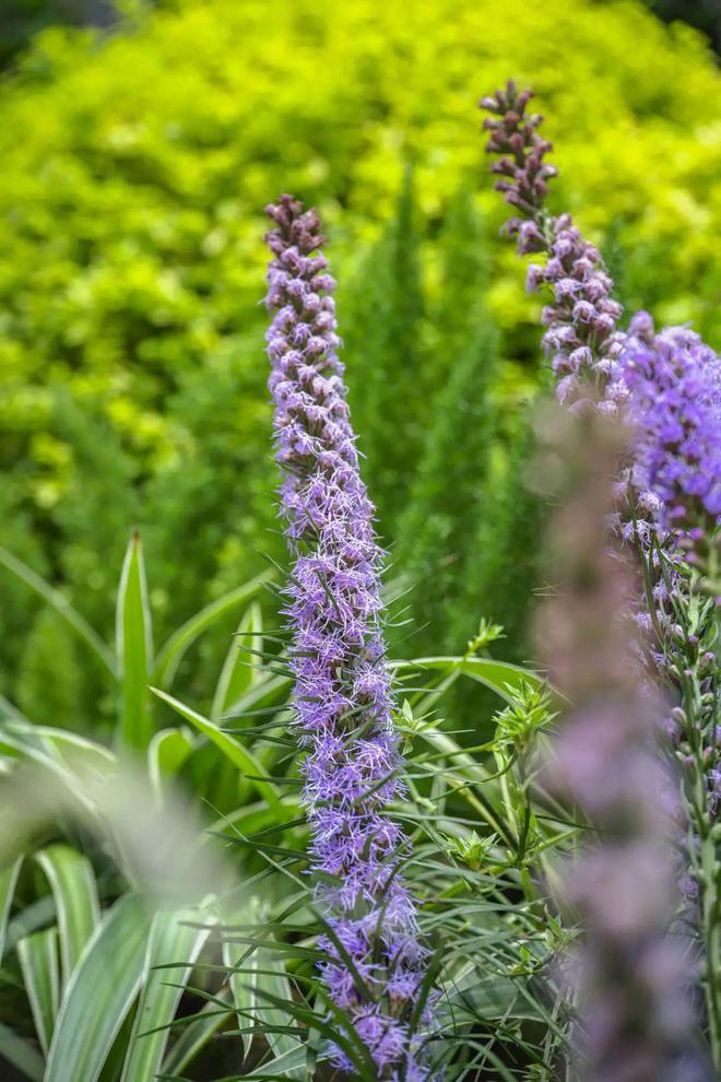 交付即热！月租跳涨至15万耀胜新世界价值藏不住了(图12)