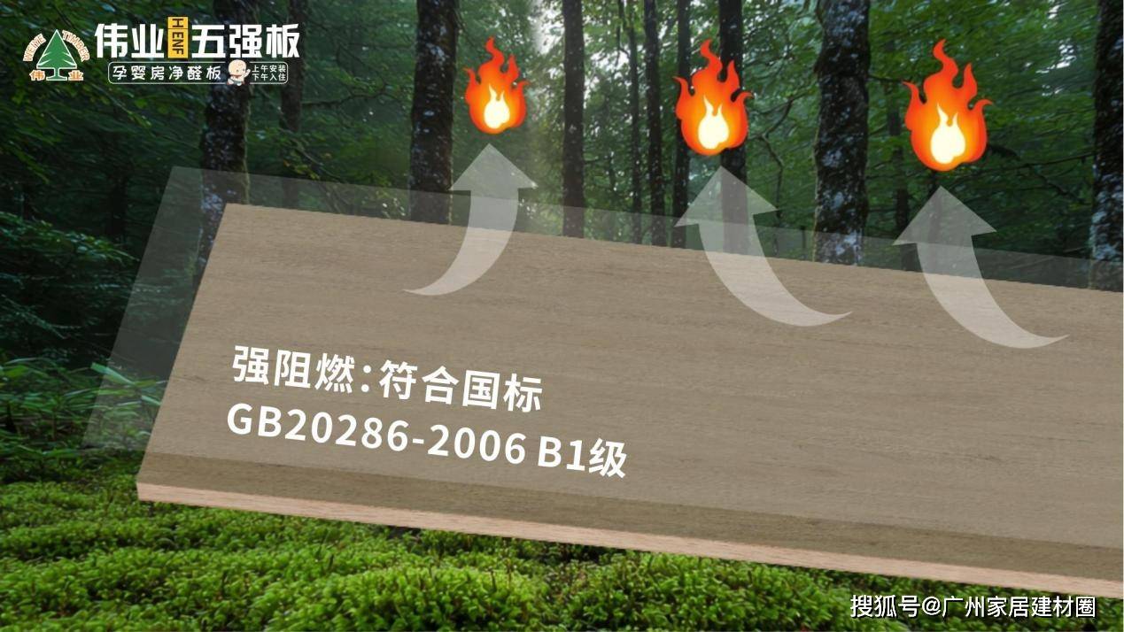 普通胶水在颤抖！伟业五强板无机生态胶掀起行业革命(图7)