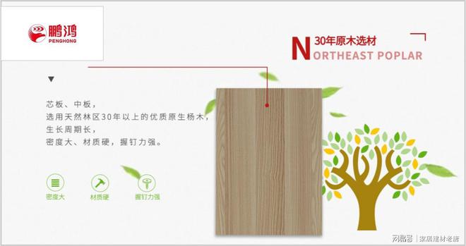 生态板哪些品牌耐用？2025年生态板十大优质品牌介绍！(图7)