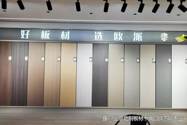 中国板材十大一线品牌的评选结果出炉(图3)