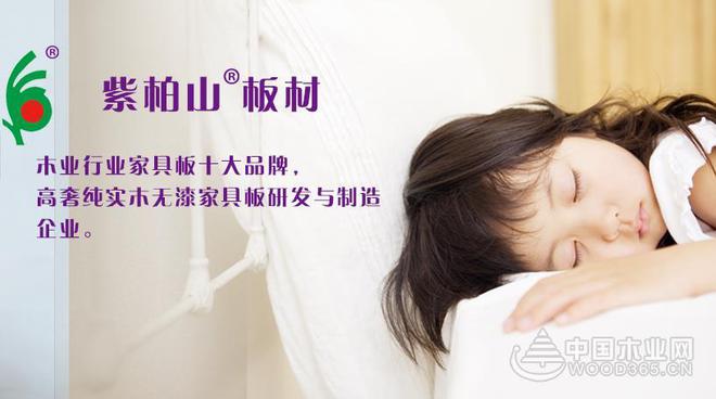 紫柏山板材销售总监雷娟：牢记环保初心 坚守实木底色(图3)