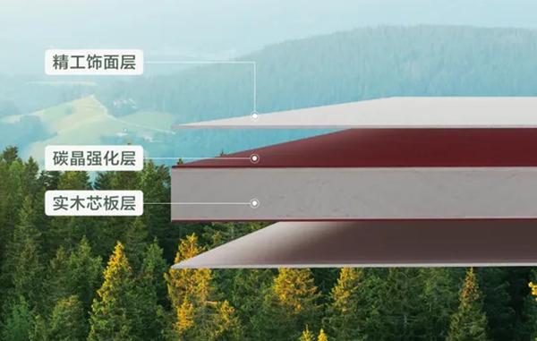 鹏鸿ENF级板材家族健康环保即装记住(图3)