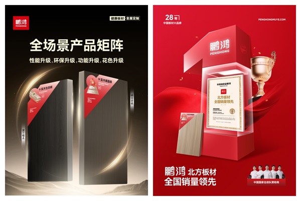 鹏鸿连续12载蝉联生态板十大品牌及匠心板材十大品牌(图4)