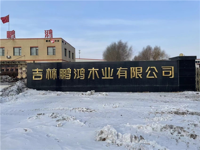 2025 板材十大品牌排名正式公布引领家居建材新风尚！(图2)