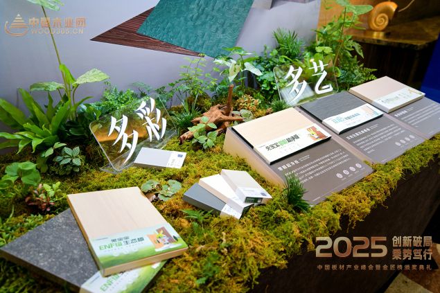 四冠加冕！兔宝宝以品质匠心破局定义板业高质量发展新范式(图3)