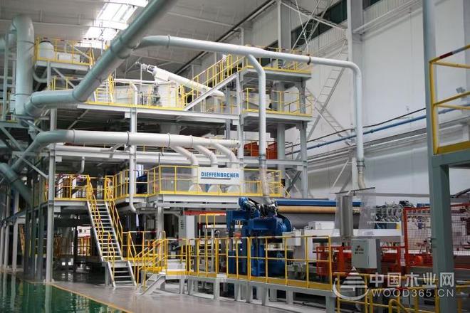 四金加冕 再书华章 鲁丽木业引领行业高质量发展(图3)