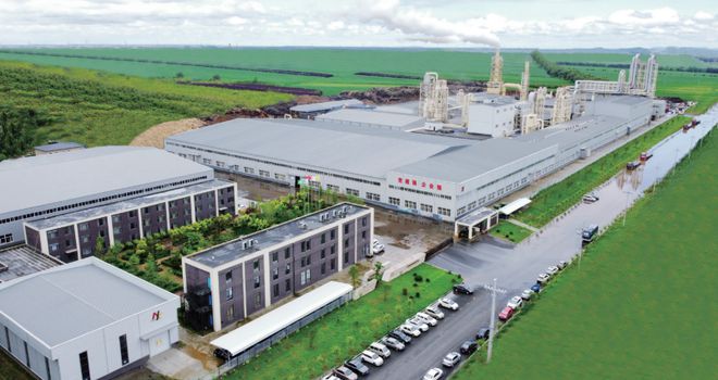 板材十大品牌尼尔科达板材：品质卓越环保先行荣誉见证