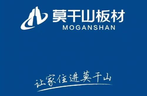 2025中国板材十大品牌排名(图3)