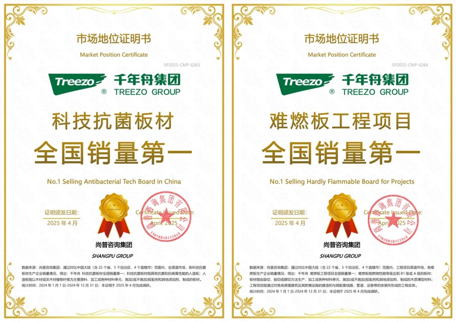 智创十年·硕果盈舟丨四大市场地位认证！千年舟彰显行业领导力(图3)