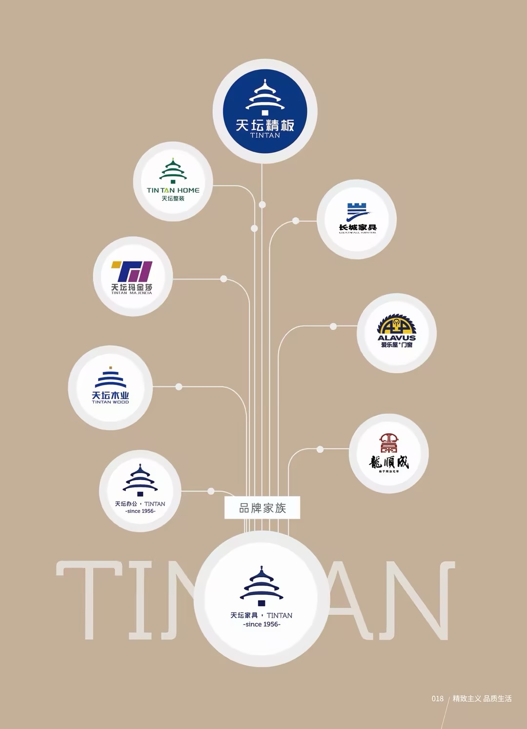 环球访谈｜天坛精板胡建辉：让孕婴级环保“普惠”于民 开启全国布局(图6)