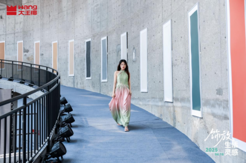 央媒领衔品质溯源从“颜质双高”的美学新作透视大王椰品牌跃迁(图4)