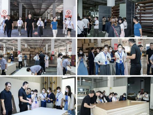 央媒领衔品质溯源从“颜质双高”的美学新作透视大王椰品牌跃迁(图8)