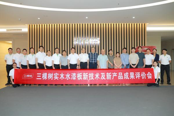 推动家居新材料技术革新 三棵树“实木水漆板”获评“国际领先”(图6)