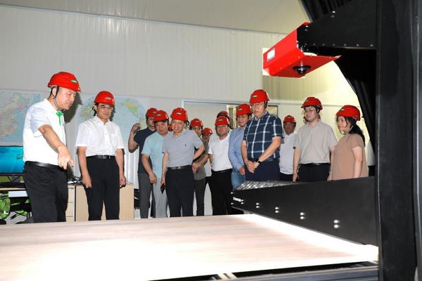 推动家居新材料技术革新 三棵树“实木水漆板”获评“国际领先”(图4)