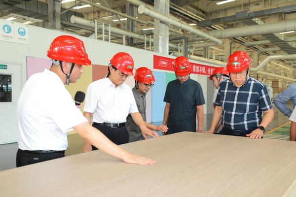 推动家居新材料技术革新 三棵树“实木水漆板”获评“国际领先”(图3)