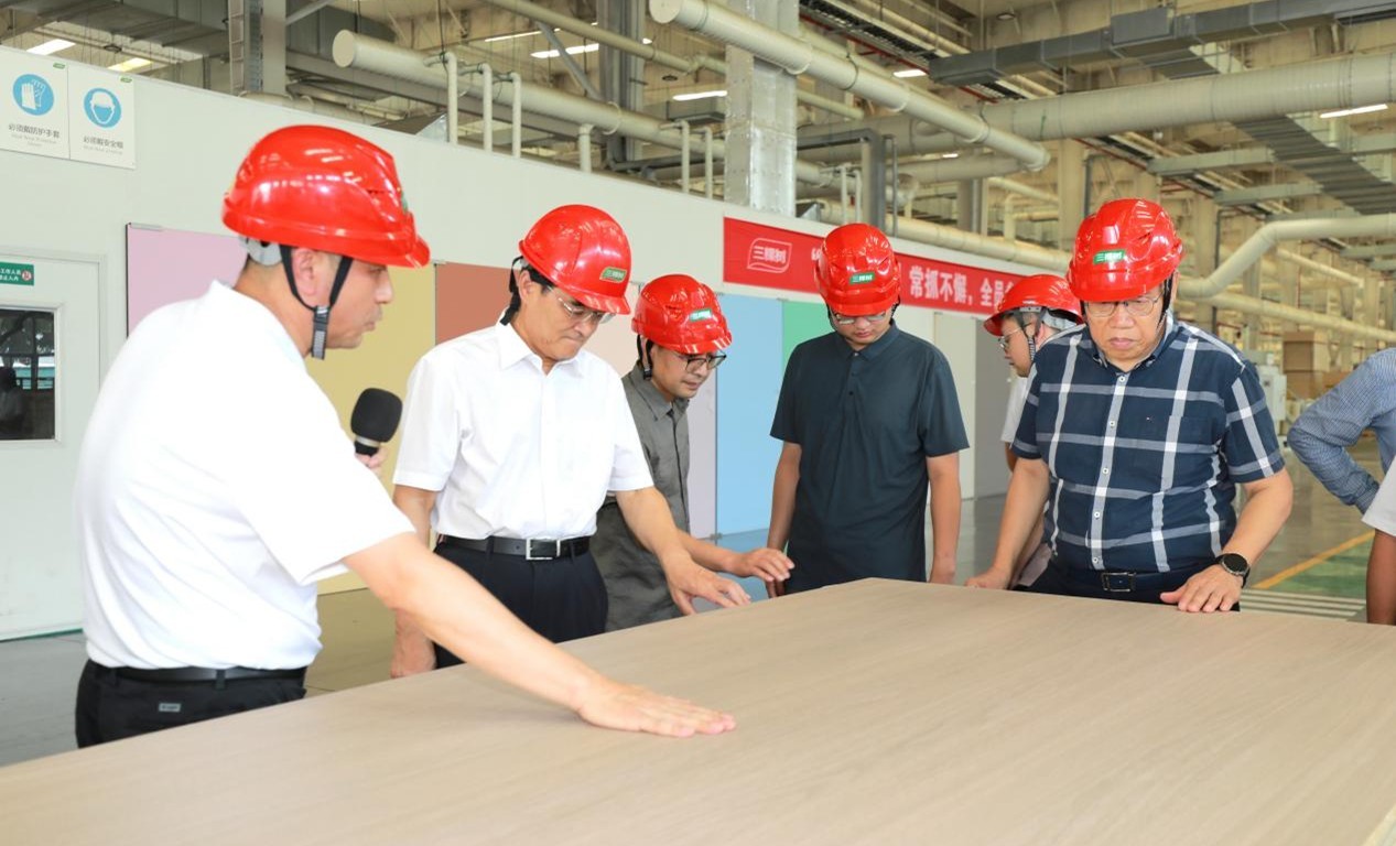 推动家居新材料技术革新！三棵树“实木水漆板”获评“国际领先”(图3)