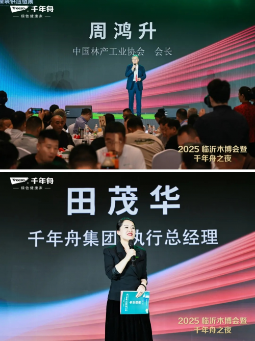 临沂木博会丨千年舟绿色创新领航人气爆棚燃动全场(图6)