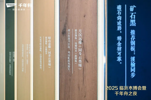 临沂木博会丨千年舟绿色创新领航人气爆棚燃动全场(图9)