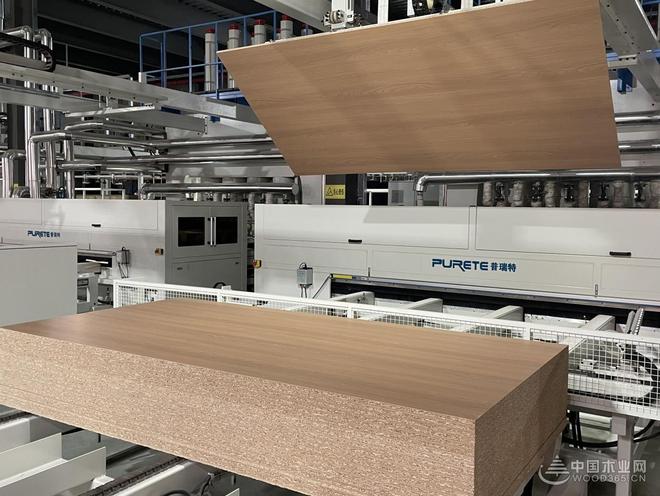 破内卷、筑根基、谋新篇！贵州桔瑞森承办2025刨花板产业研讨会(图14)