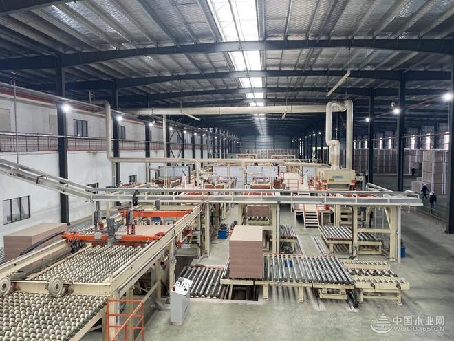 破内卷、筑根基、谋新篇！贵州桔瑞森承办2025刨花板产业研讨会(图12)