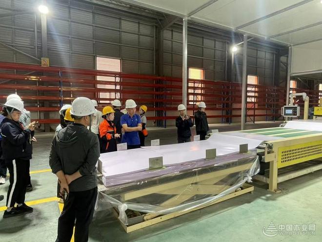 破内卷、筑根基、谋新篇！贵州桔瑞森承办2025刨花板产业研讨会(图13)