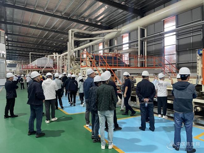破内卷、筑根基、谋新篇！贵州桔瑞森承办2025刨花板产业研讨会(图7)