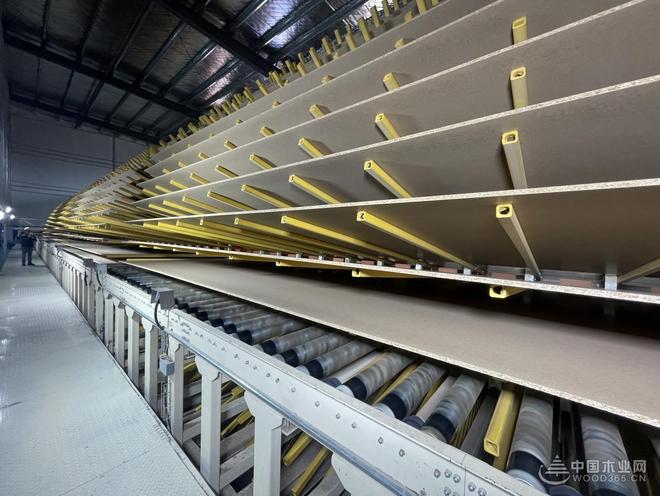 破内卷、筑根基、谋新篇！贵州桔瑞森承办2025刨花板产业研讨会(图10)