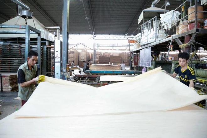 柳城这家企业满负荷运转赶订单(图7)