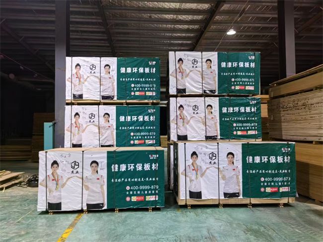 全力进击杰业板材深耕华中市场彰显品牌拓展实力(图3)