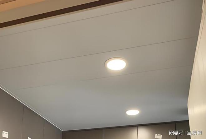 天花板十大品牌 天花板品牌排行榜前十名(图3)