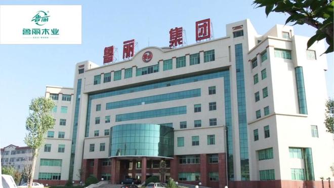 颗粒板怎么选？2025年颗粒板行业十大用户推荐品牌(图5)