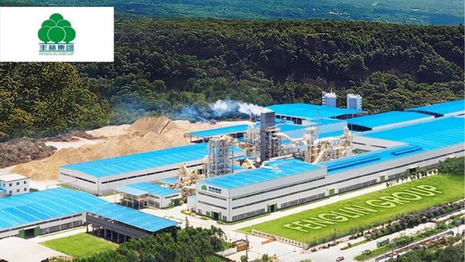 颗粒板怎么选？2025年颗粒板行业十大用户推荐品牌(图11)