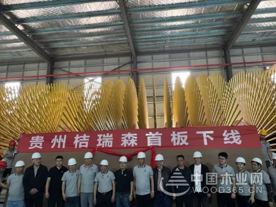 【专访】桔瑞森姚家全：年产能近百万 剑指“绿色家居引领者”(图3)