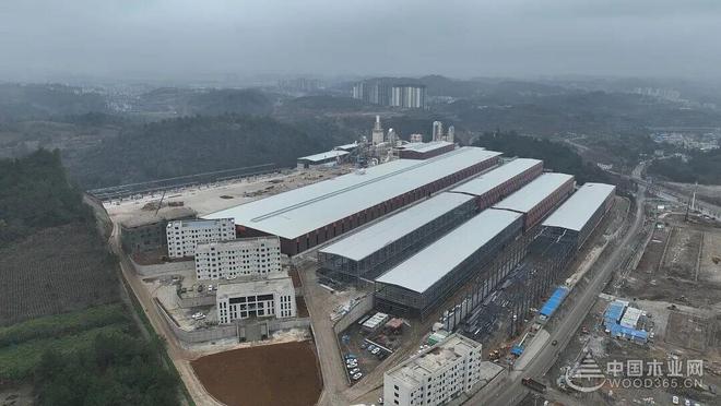 【专访】桔瑞森姚家全：年产能近百万 剑指“绿色家居引领者”(图6)