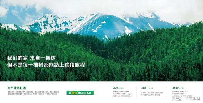 实力加冕！雪宝板材荣膺2024-2025十大工程板材品牌(图3)