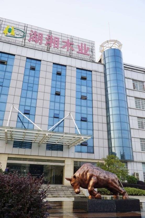 2025 板材十大品牌权威解析：环保与创新引领绿色家居新趋势(图2)