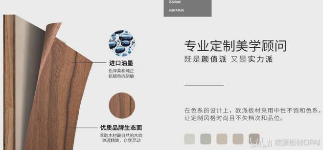 强化地板十大领军品牌从设计先锋到技术标杆(图3)