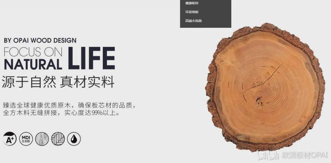 强化地板十大领军品牌从设计先锋到技术标杆(图4)