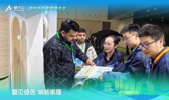 绿色家居 共谋未来 闪耀2025湖州绿色家居博览会引领行业高质量发展(图10)