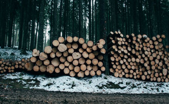 好房子要‘好底子’！金利源ENF级刨花板筑牢健康家居基准线(图5)