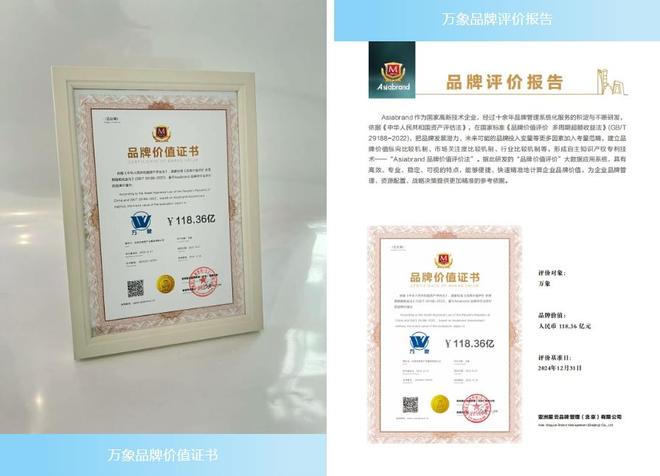 荣耀双塔 实力加冕 旺德府和万象再创品牌价值新高(图2)