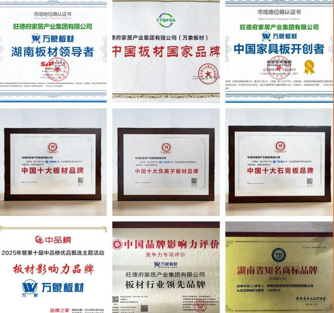 荣耀双塔 实力加冕 旺德府和万象再创品牌价值新高(图3)