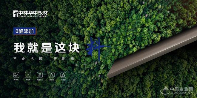 中林华中板材发布新品原木系列：以自然为本助力“好房子”建设(图3)