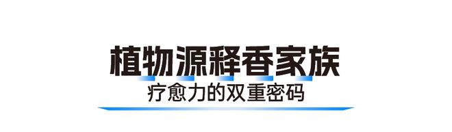 把“第六感”装进家 莫干山板材以香为媒解锁家居疗愈新维度(图4)